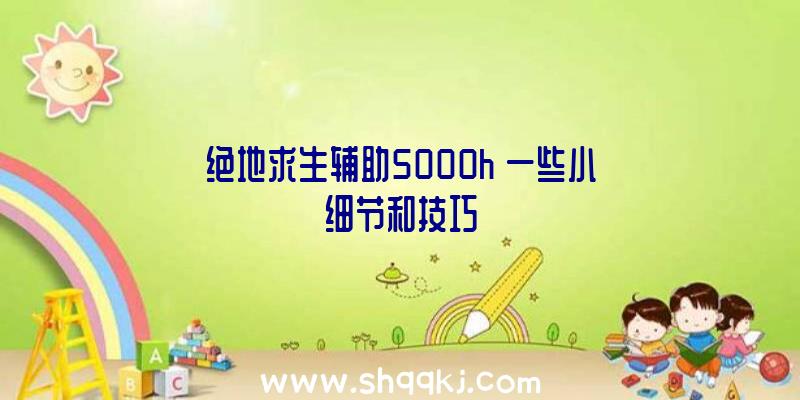 绝地求生辅助5000h